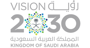 Vision Logo